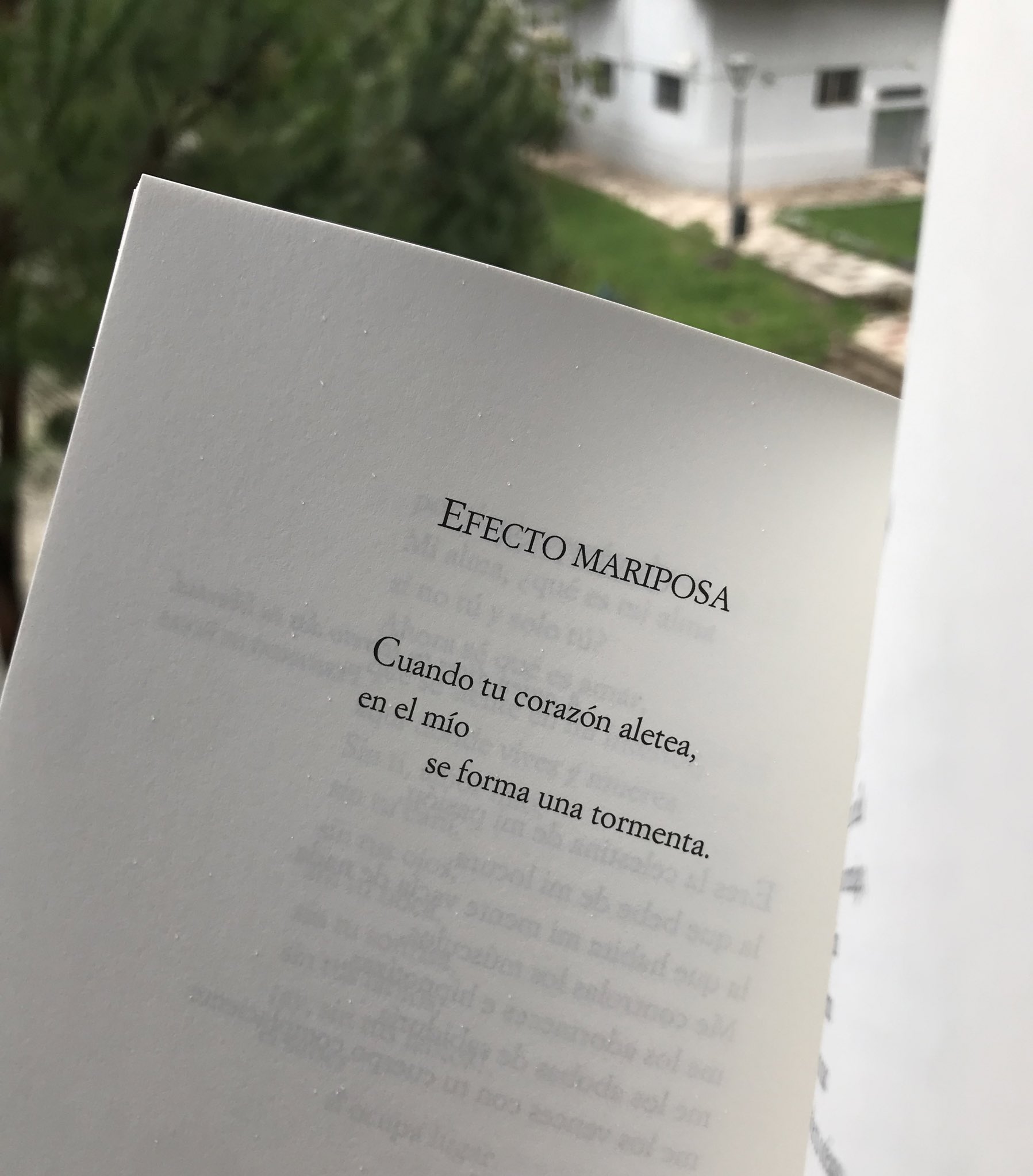 Efecto mariposa | José María Andreo