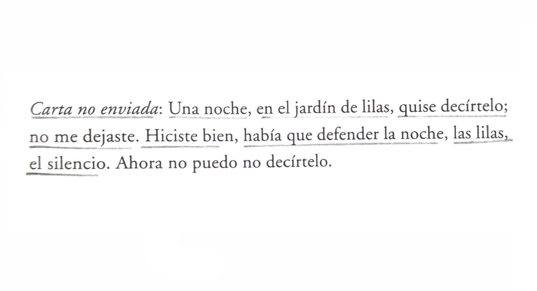 ‘Carta no enviada’ de Alejandra Pizarnik