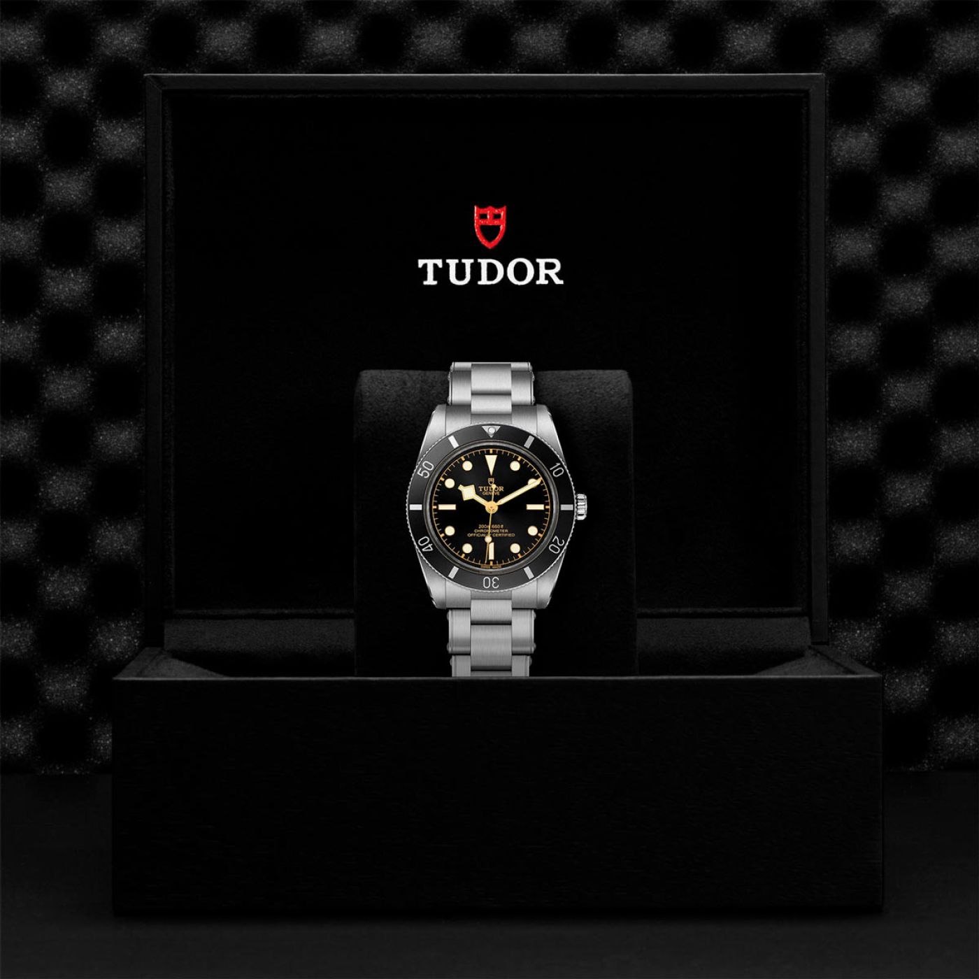 Tudor Black Bay 54