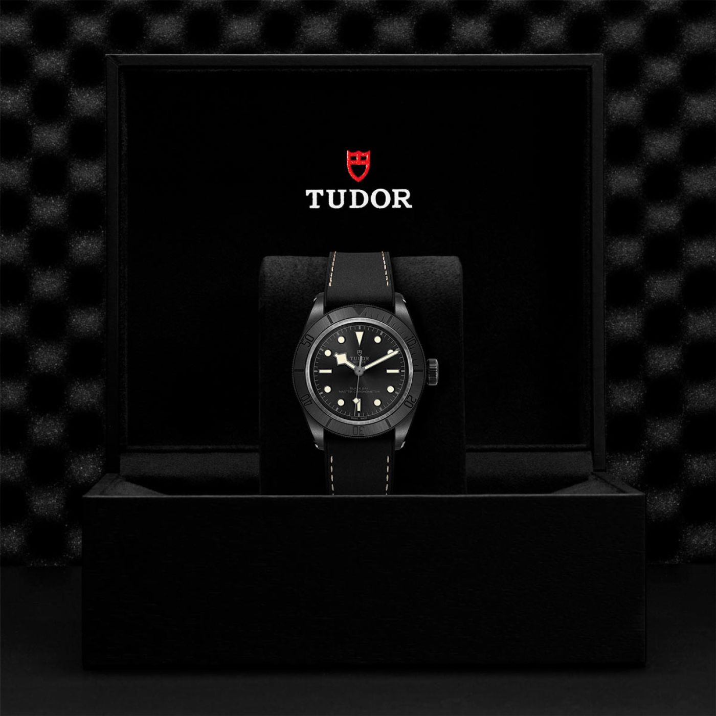 Tudor Black Bay Ceramic