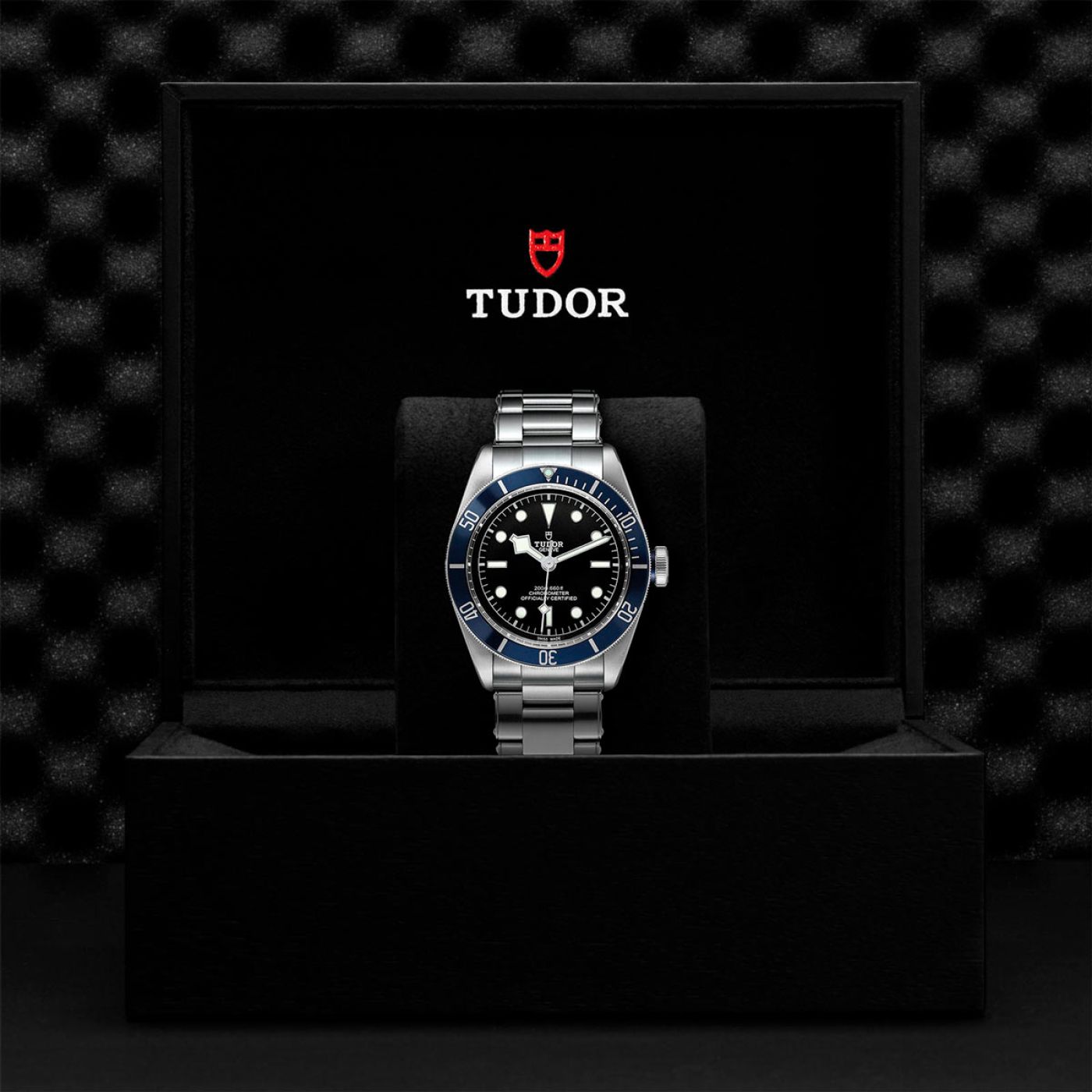 Tudor Black Bay