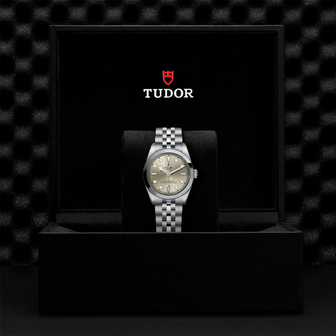 Tudor Black Bay