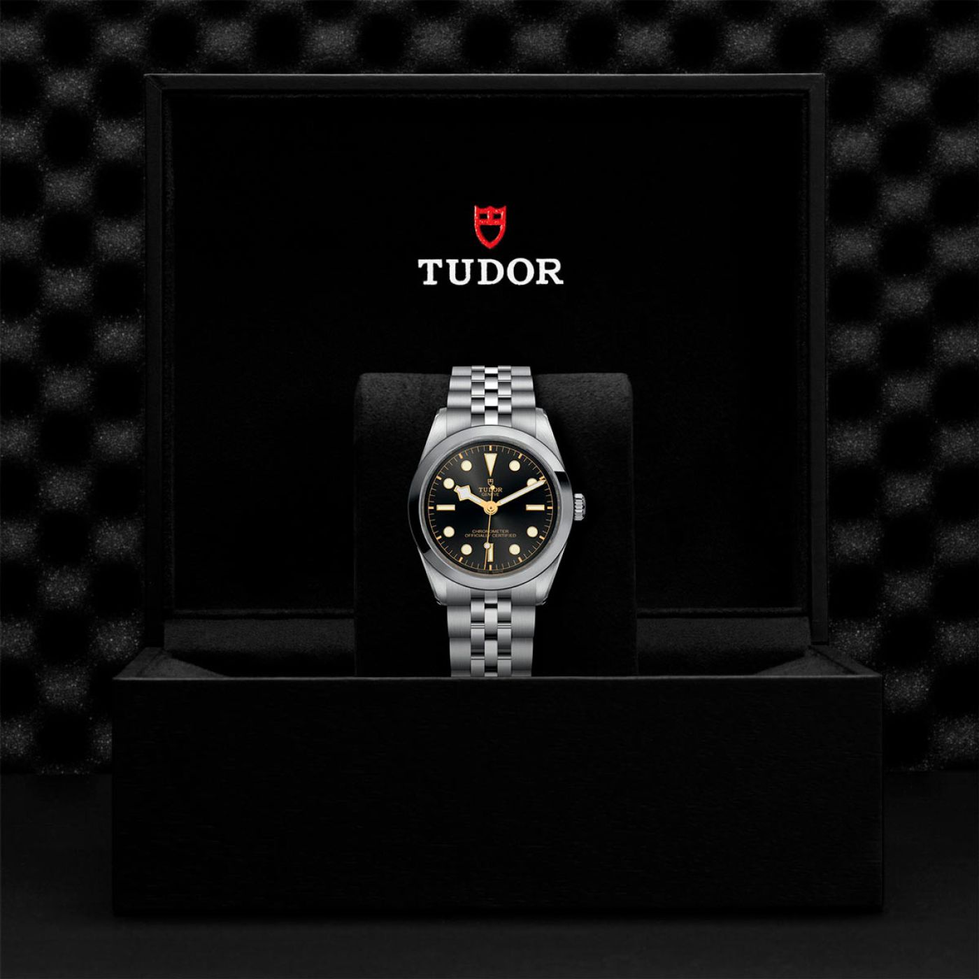 Tudor Black Bay