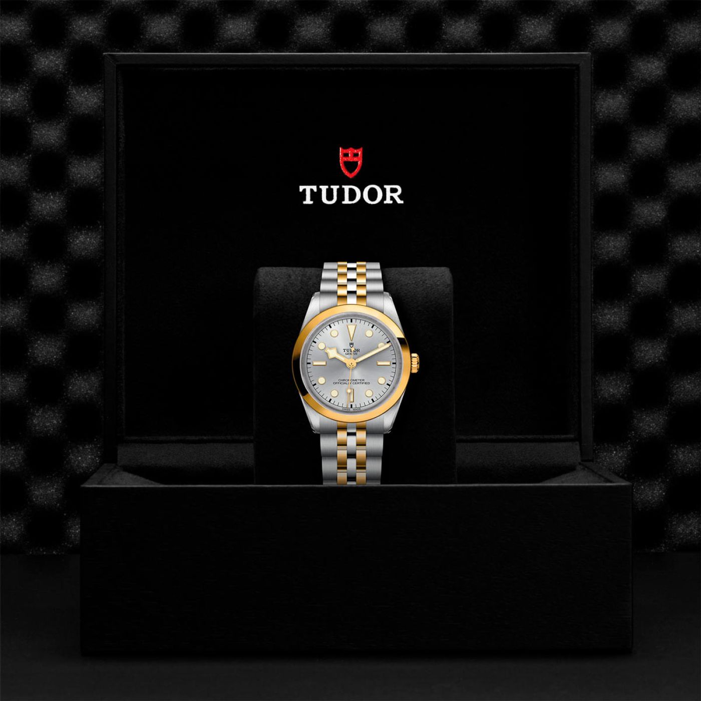 Tudor Black Bay 36 S&G