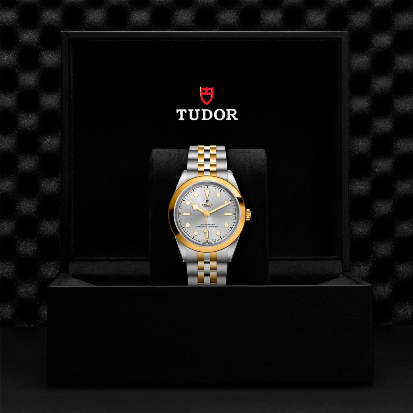 Tudor Black Bay 41 S&G