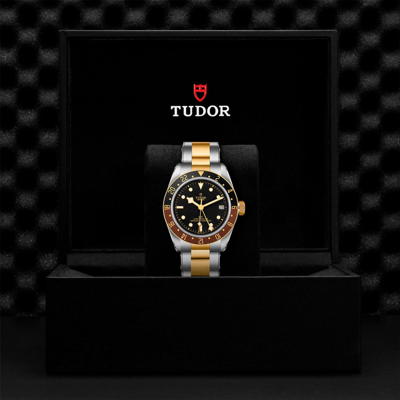 Tudor Black Bay GMT S&G