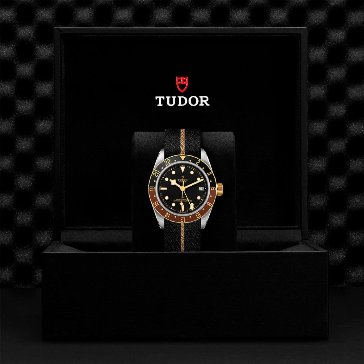 Tudor Black Bay GMT S&G