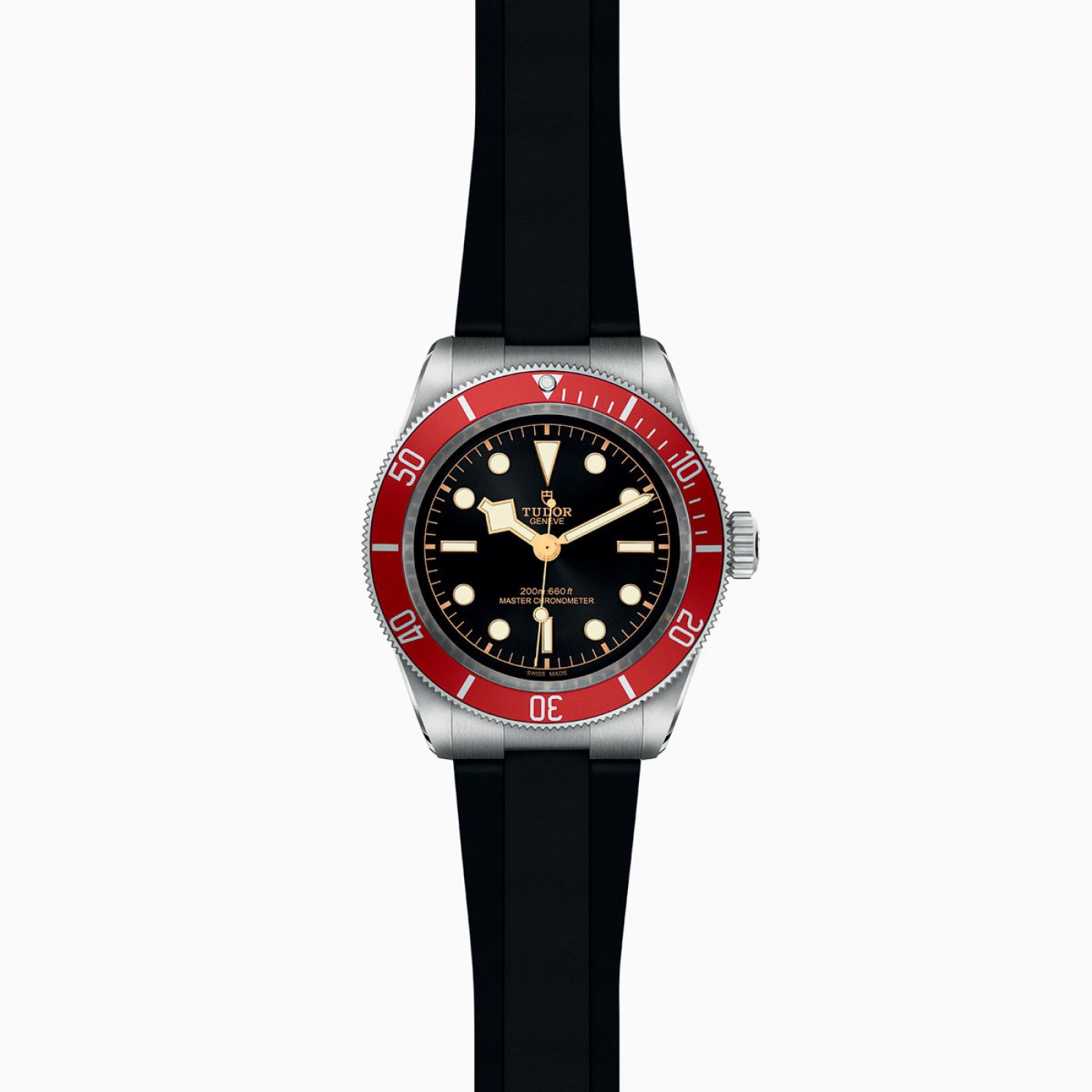 Tudor Black Bay