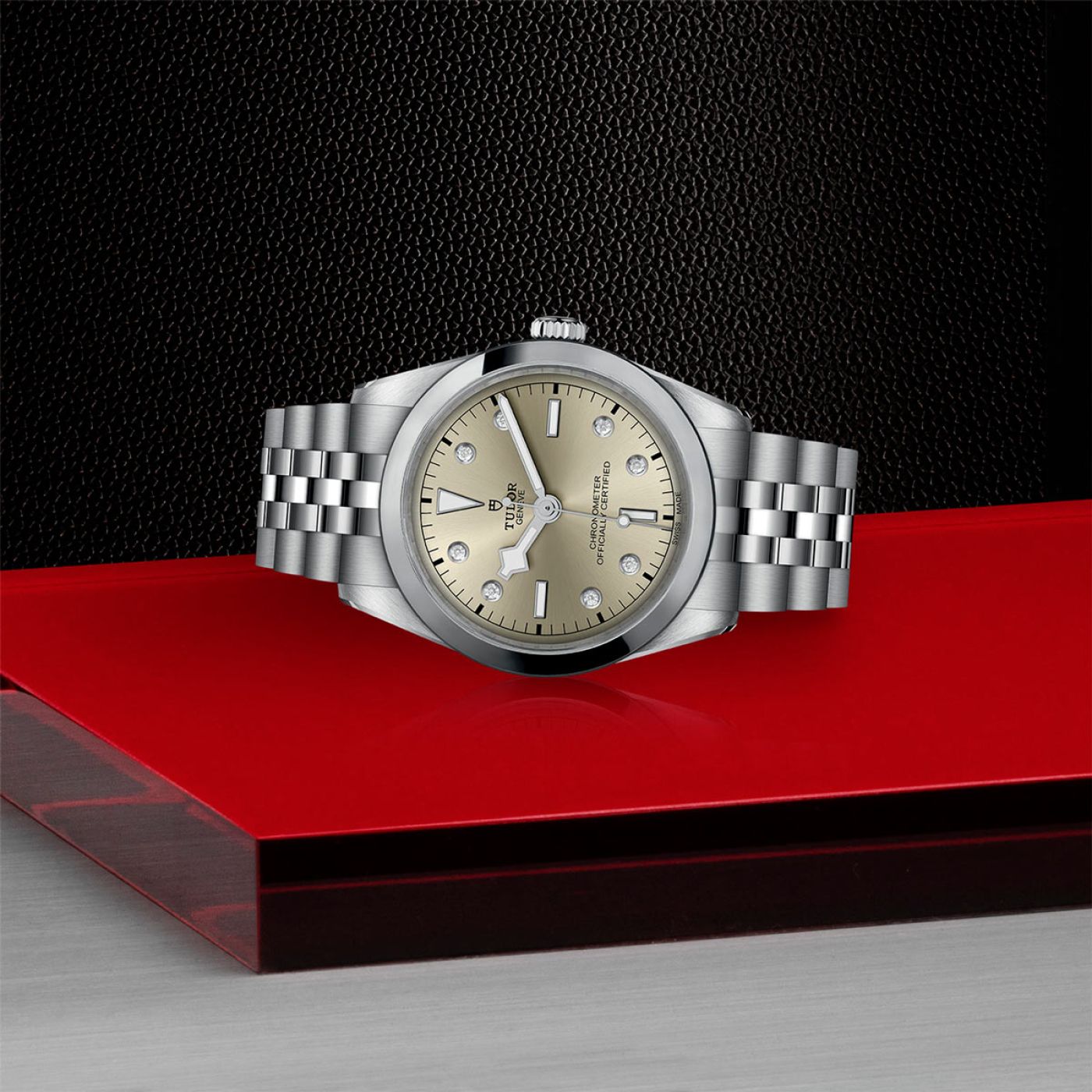 Tudor Black Bay 36