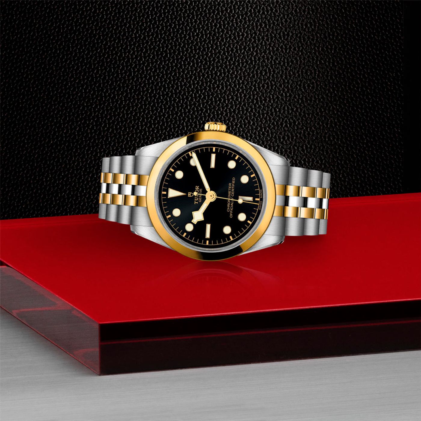 Tudor Black Bay 36 S&G