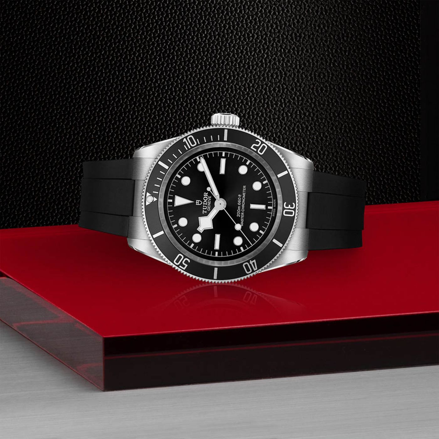 Tudor Black Bay