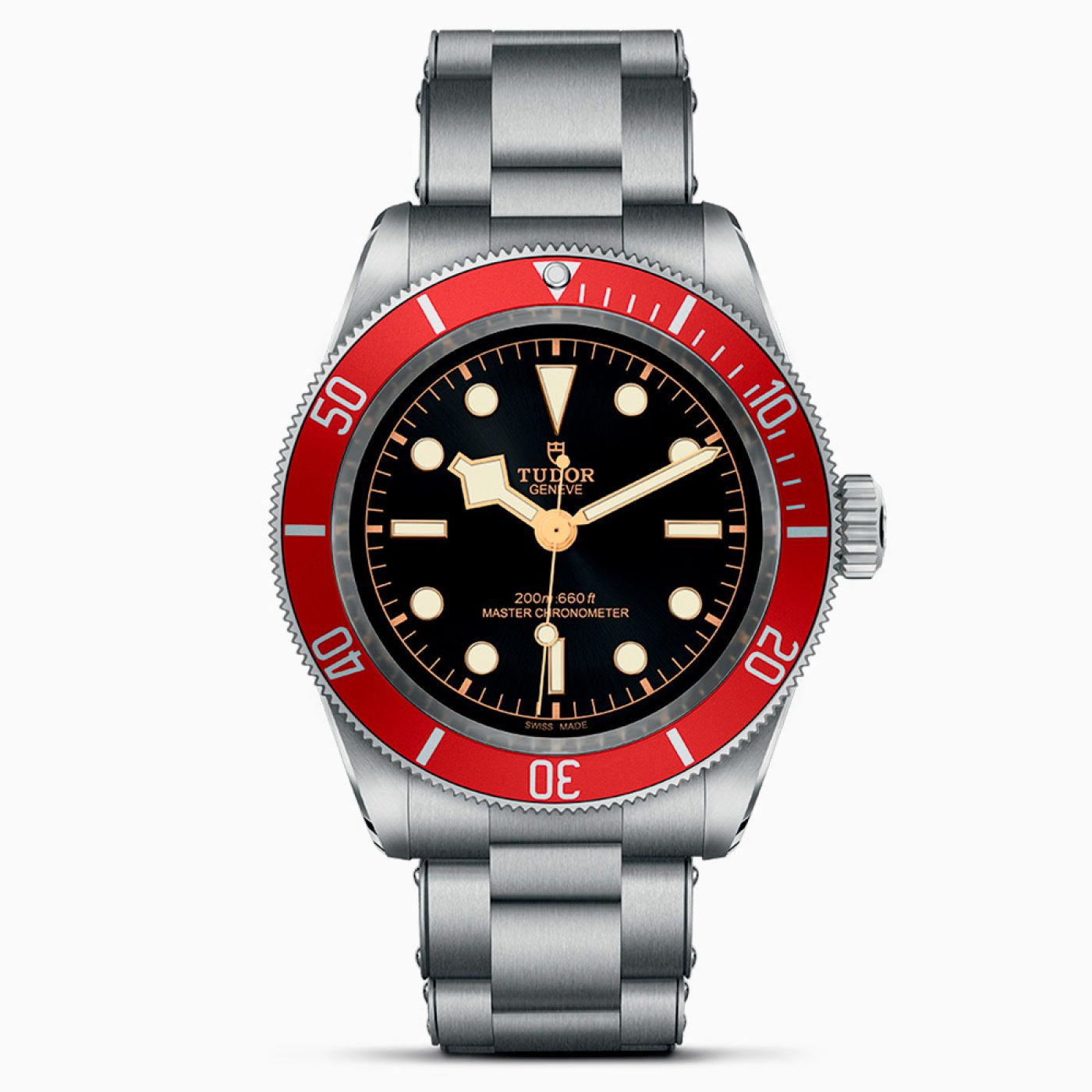 Tudor Black Bay