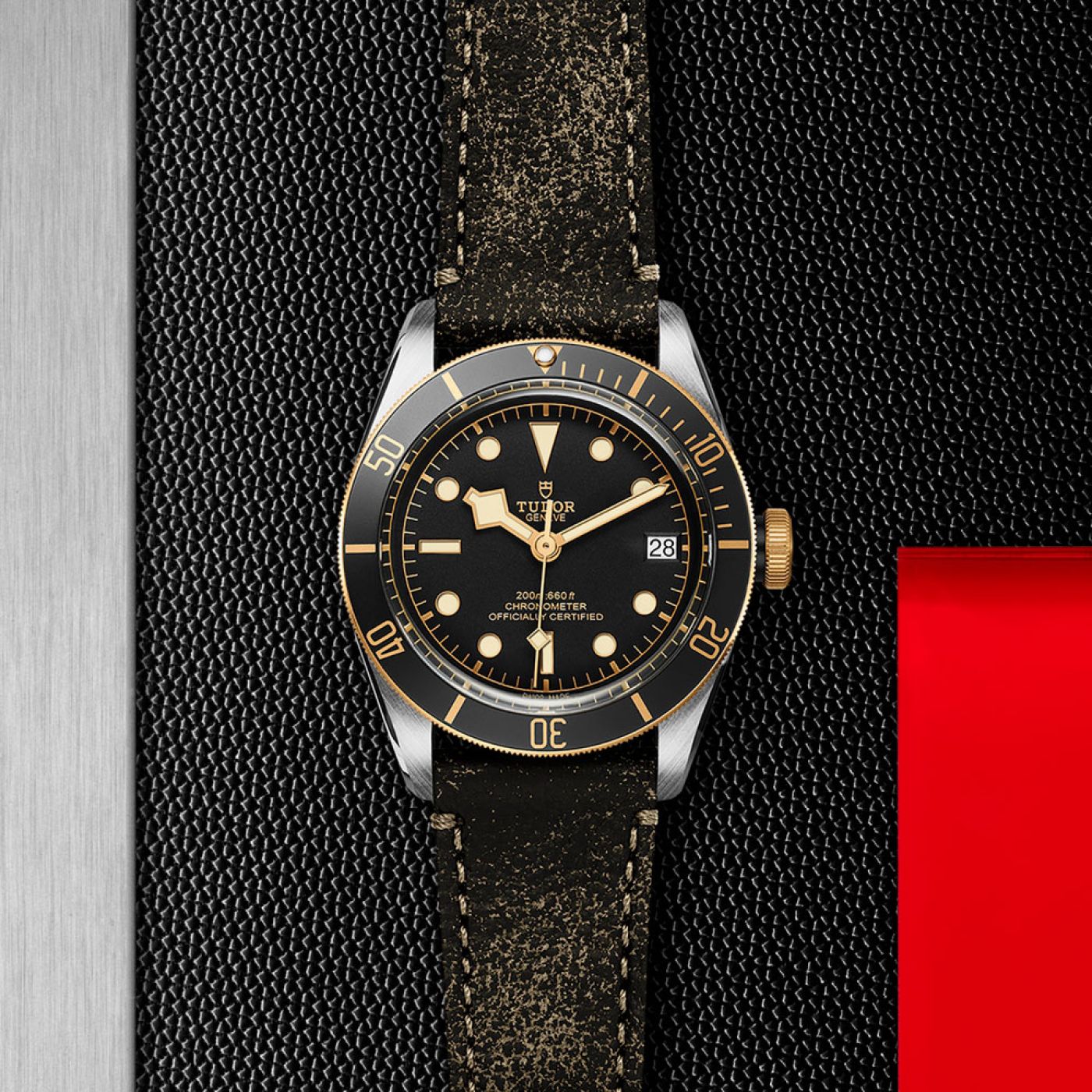 Tudor Black Bay S&G