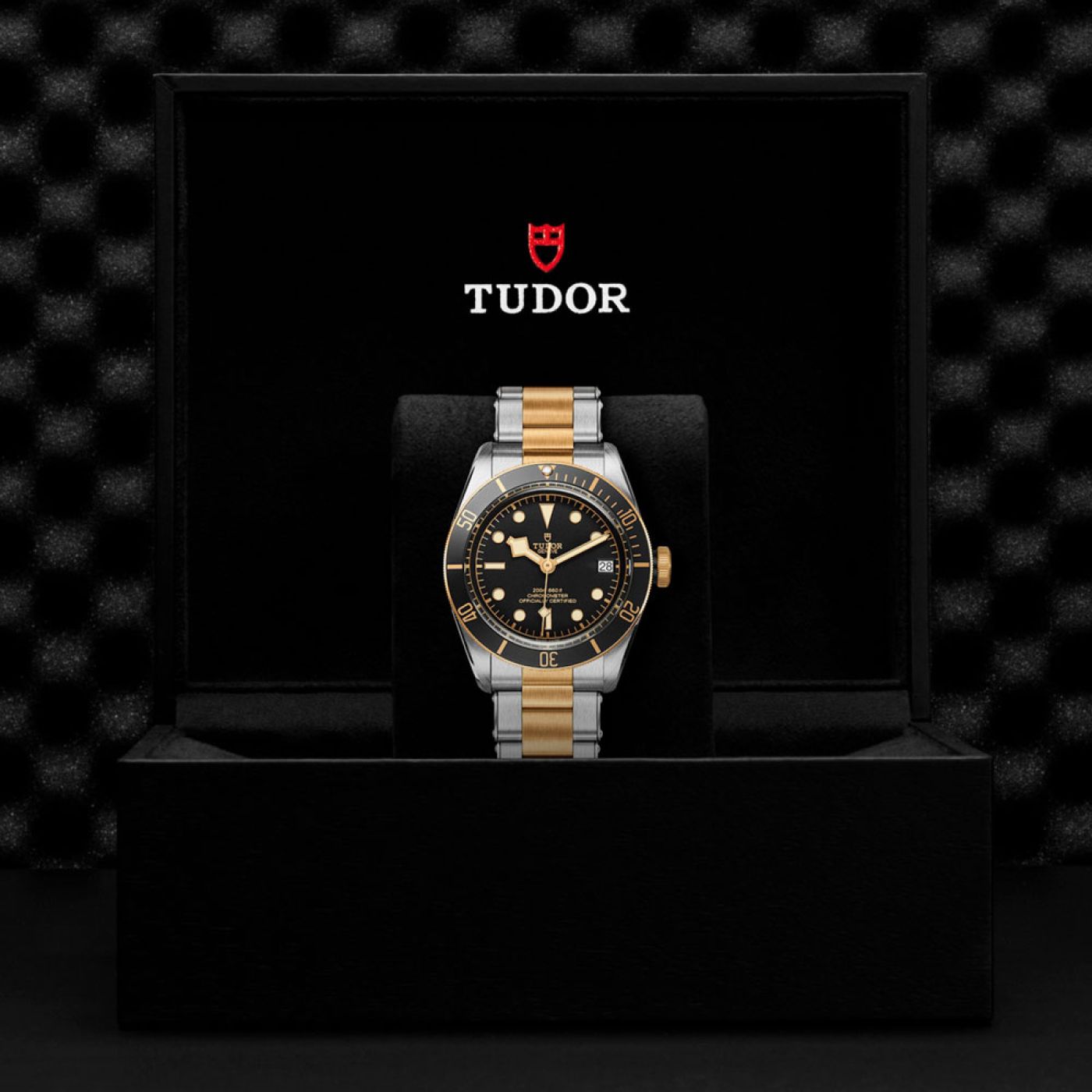 Tudor Black Bay S&G