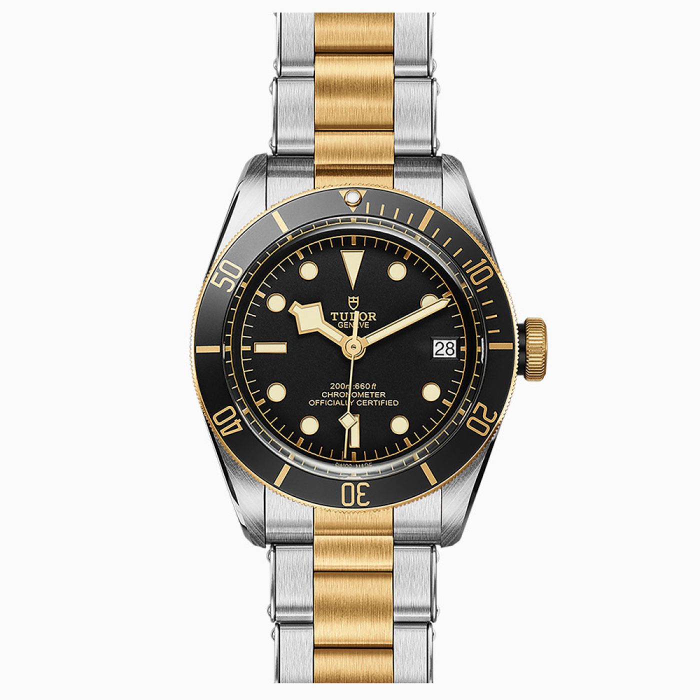 Tudor Black Bay S&G