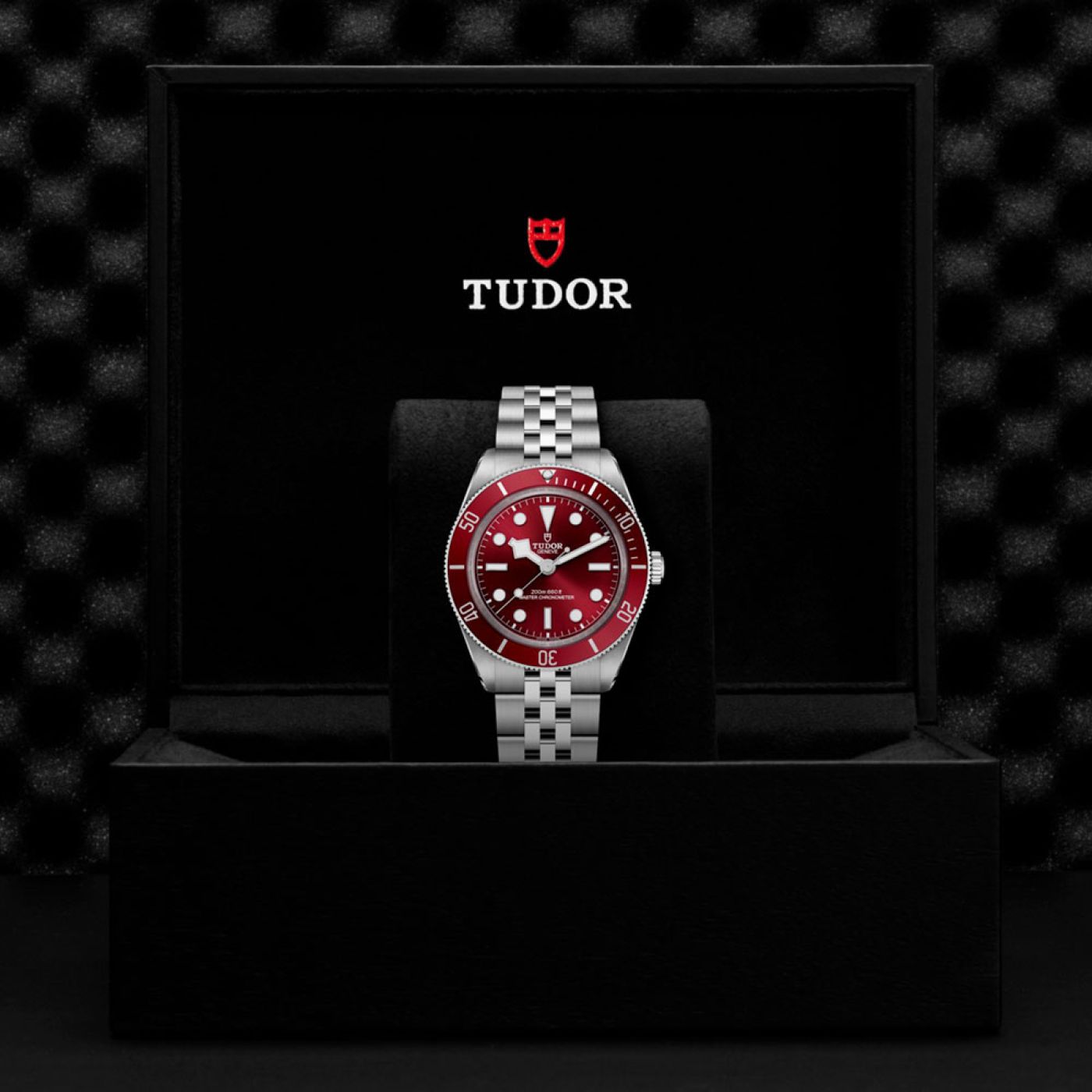 Tudor Black Bay 58