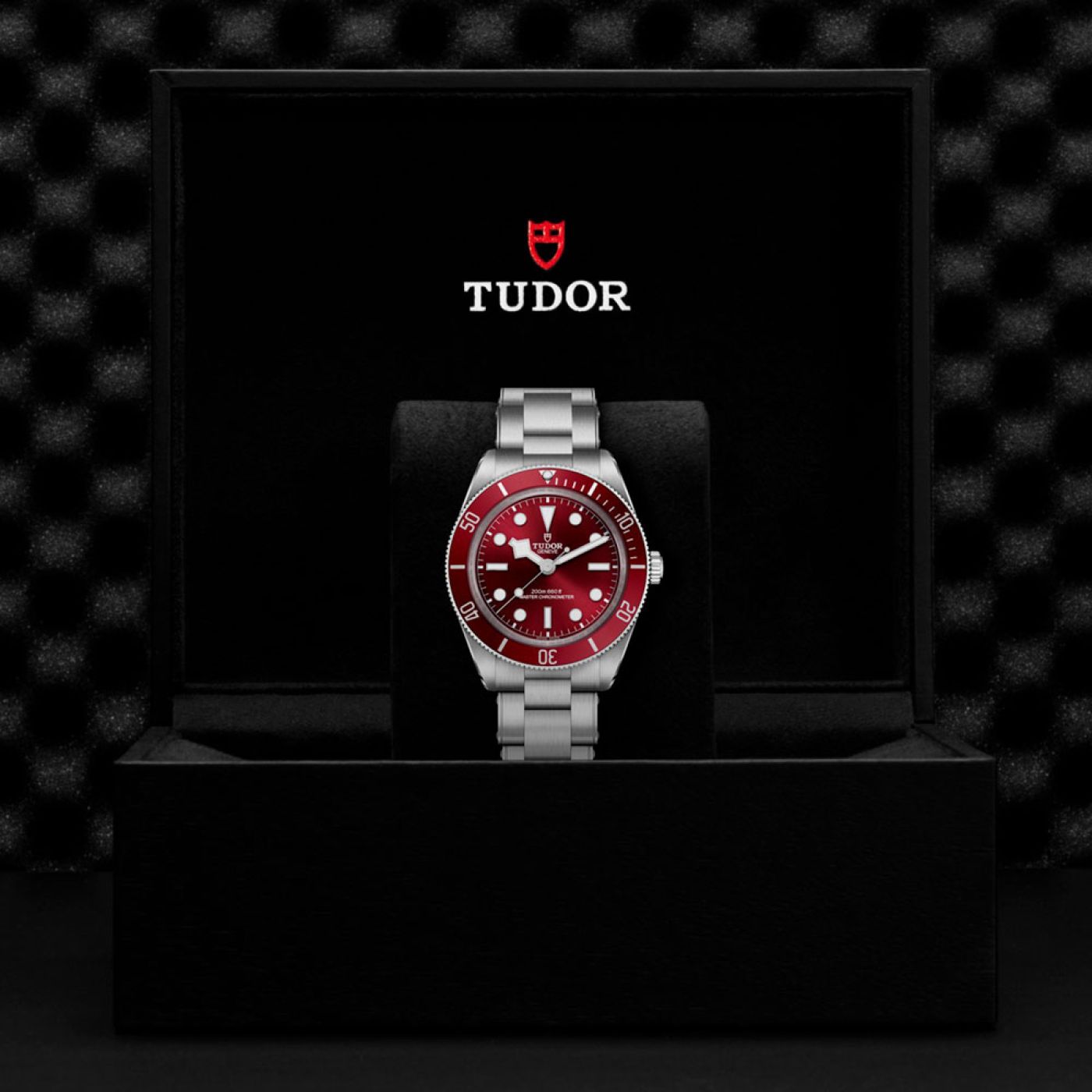 Tudor Black Bay 58