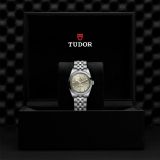 Tudor Black Bay 31