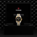 Tudor Black Bay 36 S&G