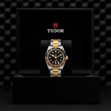 Tudor Black Bay GMT S&G