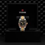 Tudor Black Bay GMT S&G