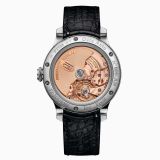 F.P.Journe Automatique