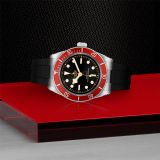 Tudor Black Bay