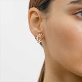 Rose gold earrings with diamonds