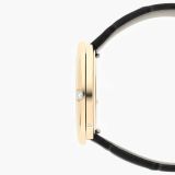 Piaget Possession 