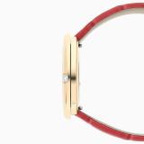 Piaget Possession 