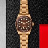 Tudor Black Bay 58 Bronze