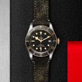 Tudor Black Bay S&G