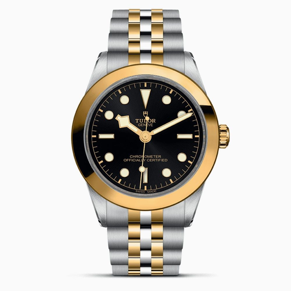 Tudor Black Bay 39 S&G