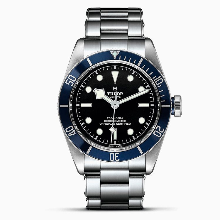 Tudor Black Bay