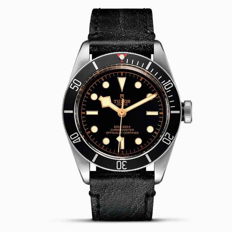 Tudor Black Bay