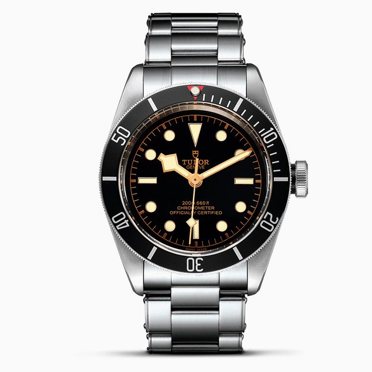 Tudor Black Bay