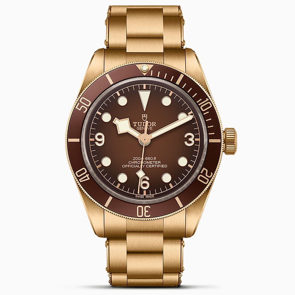 Tudor Black Bay 58 Bronze