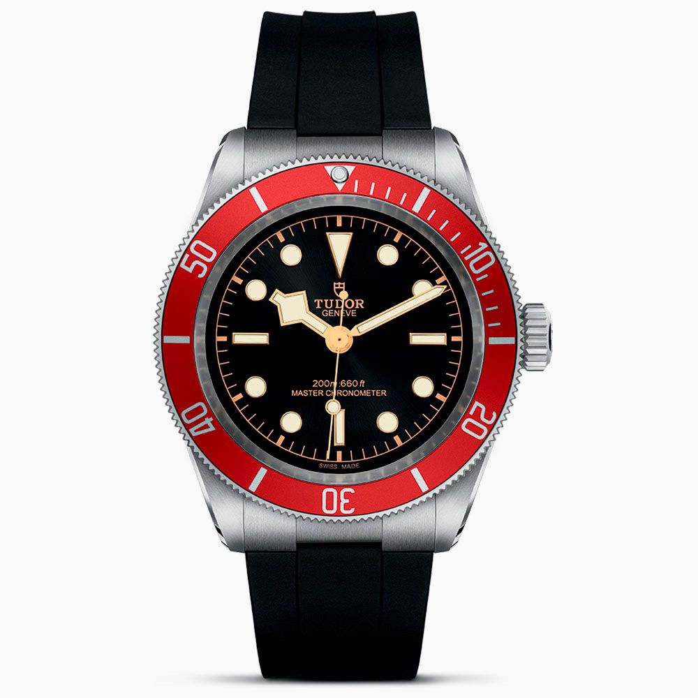 Tudor Black Bay