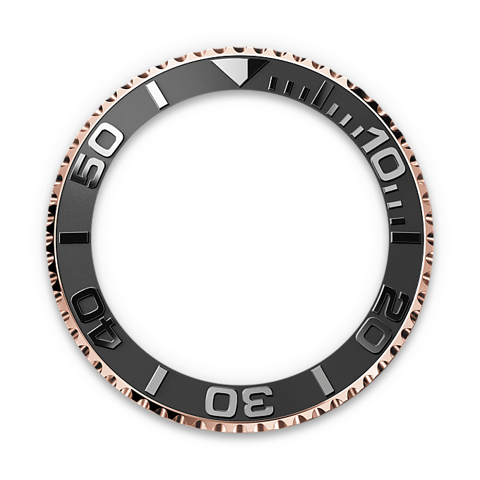 Bidirectional Rotatable Bezel