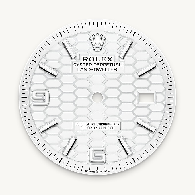 Esfera blanco intenso del reloj Rolex Land-Dweller 36 || M127234-0001