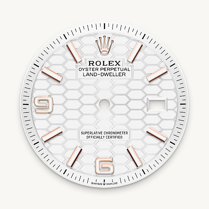 Esfera blanco intenso del reloj Rolex Land-Dweller 36 || M127235-0001