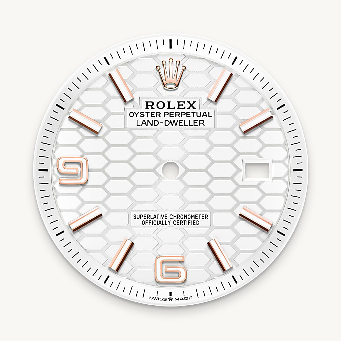 Esfera blanco intenso del reloj Rolex Land-Dweller 40 || M127335-0001