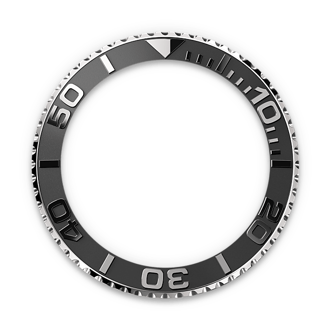 Bidirectional Rotatable Bezel