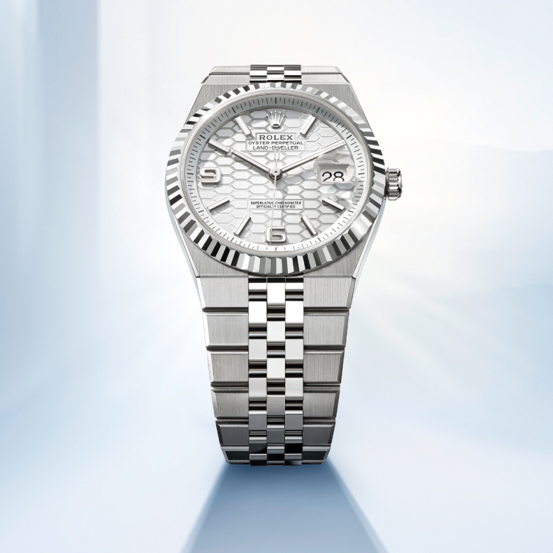 Banner Familia Rolex Land-Dweller