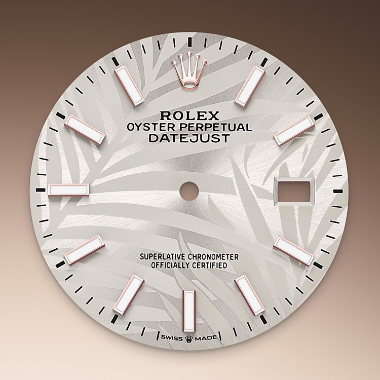 Esfera plateada del reloj Rolex Datejust 36 M126201-0031