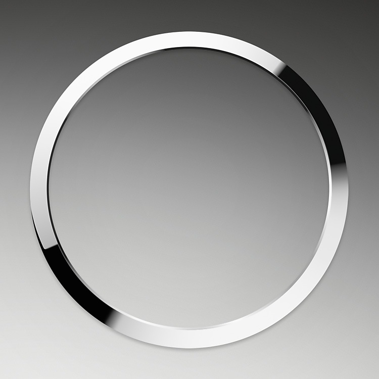 Smooth Bezel - Rolex Explorer 36 M124270-0001