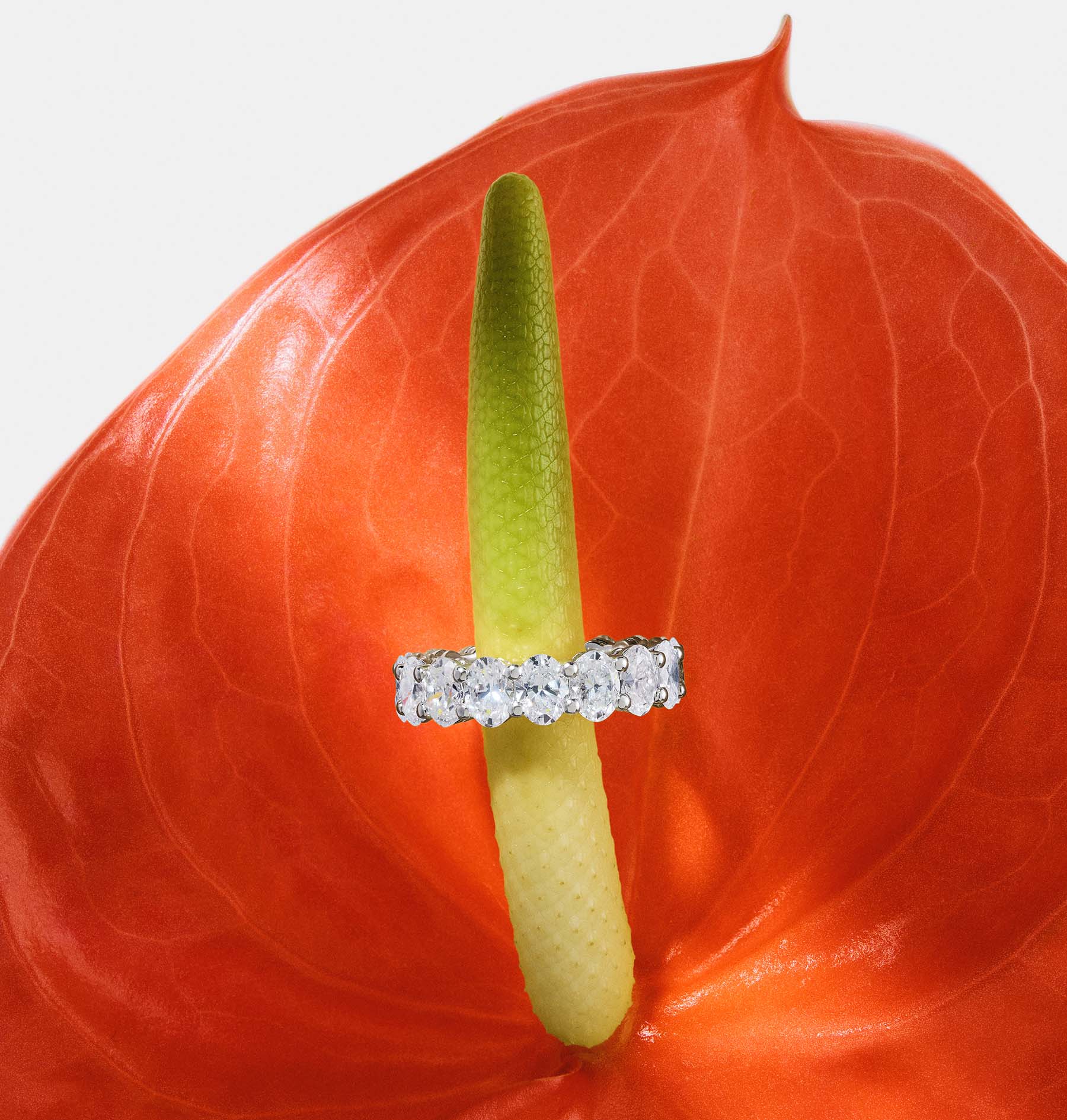 Diamond Rainbow Jewels Collection at RABAT Jewelry